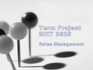 Term project sales man