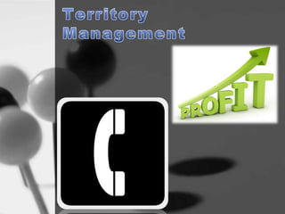 Term project sales man