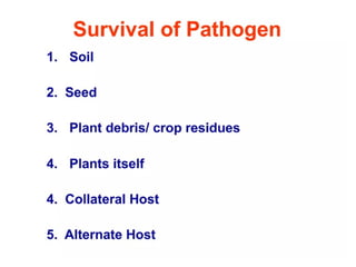 Plant Pathology Concept, Terms and disease symptoms | PPTX