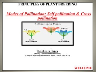 PRINCIPLES OF PLANT BREEDING
Modes of Pollination: Self pollination & Cross
pollination
Dr. Shweta Gupta
( Faculty, Genetics and Plant Breeding)
College of Agriculture and Research station , Marra, Durg (C.G)
WELCOME
 