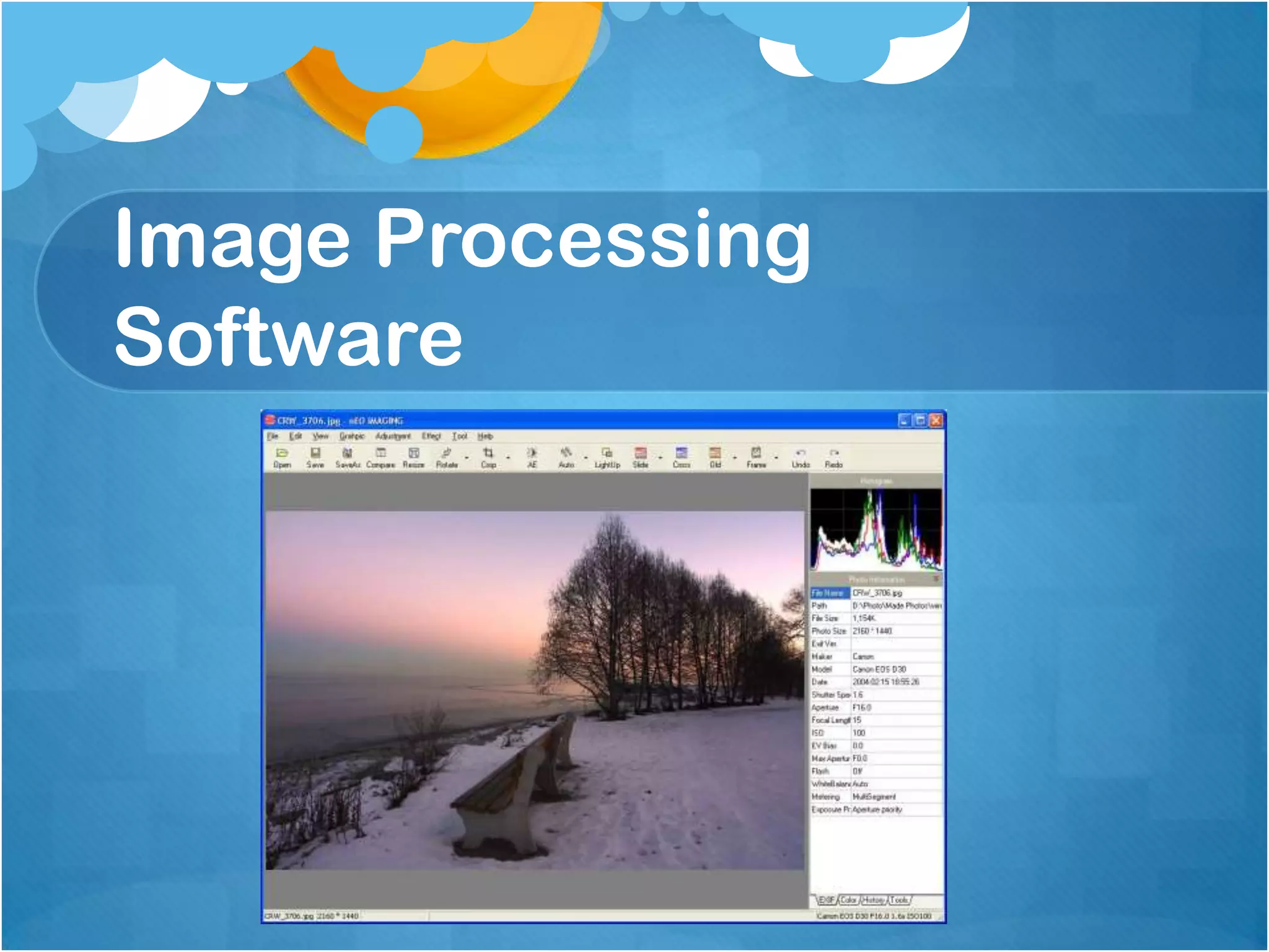 Image Processing Software