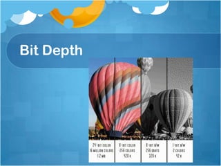 Bit Depth