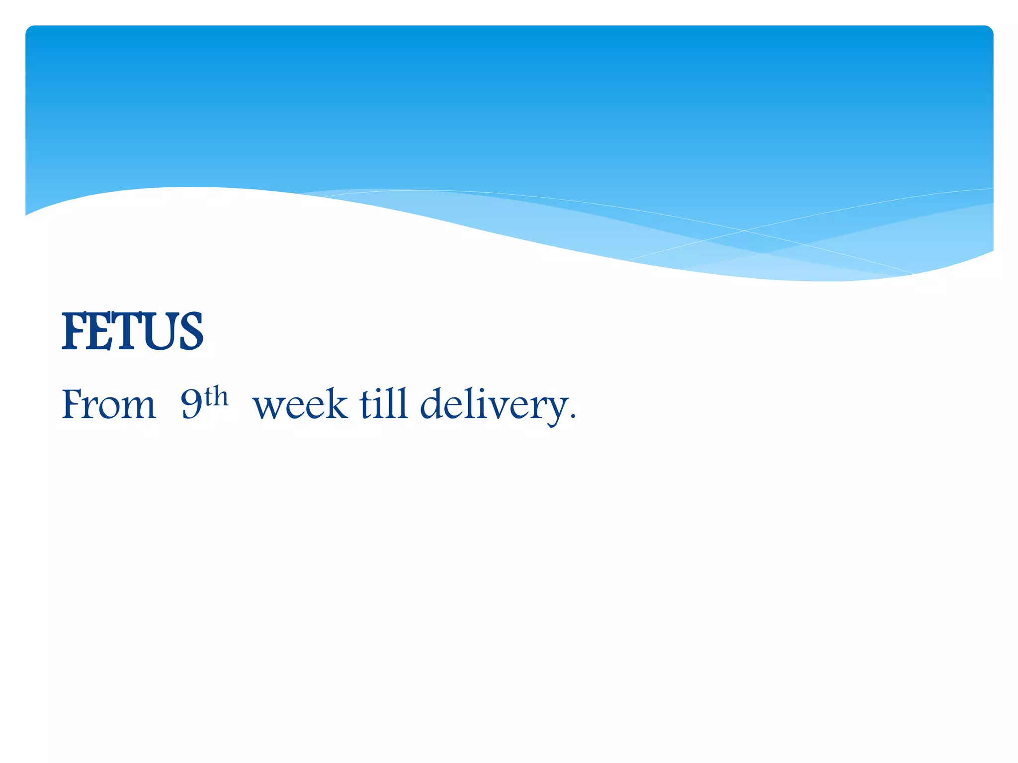 terms-related-to-obstetrics-ppt-free-download