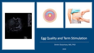 Egg Quality and Term Stimulation
Dmitri Dozortsev, MD, PhD
2020
 