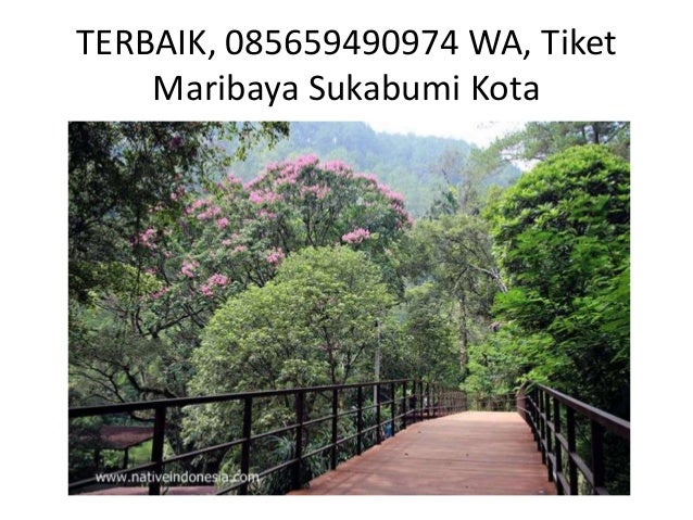 Yang Murah 085659490974 Wa Harga Paket Wisata Maribaya Yang Murah 085659490974 Wa Harga Paket Wisata Maribaya