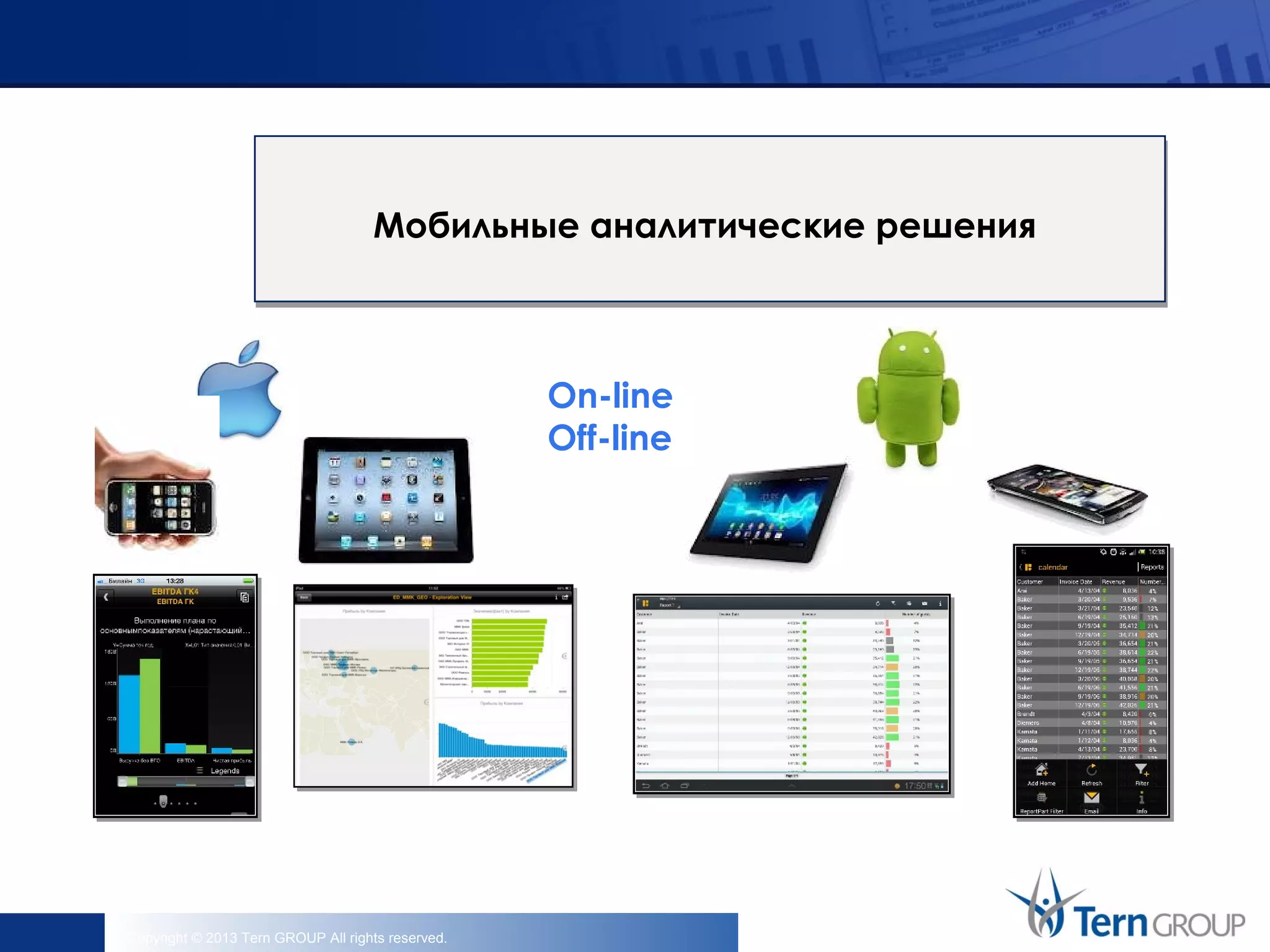 Copyright © 2013 Tern GROUP All rights reserved.
Мобильные аналитические решения
On-line
Off-line
 