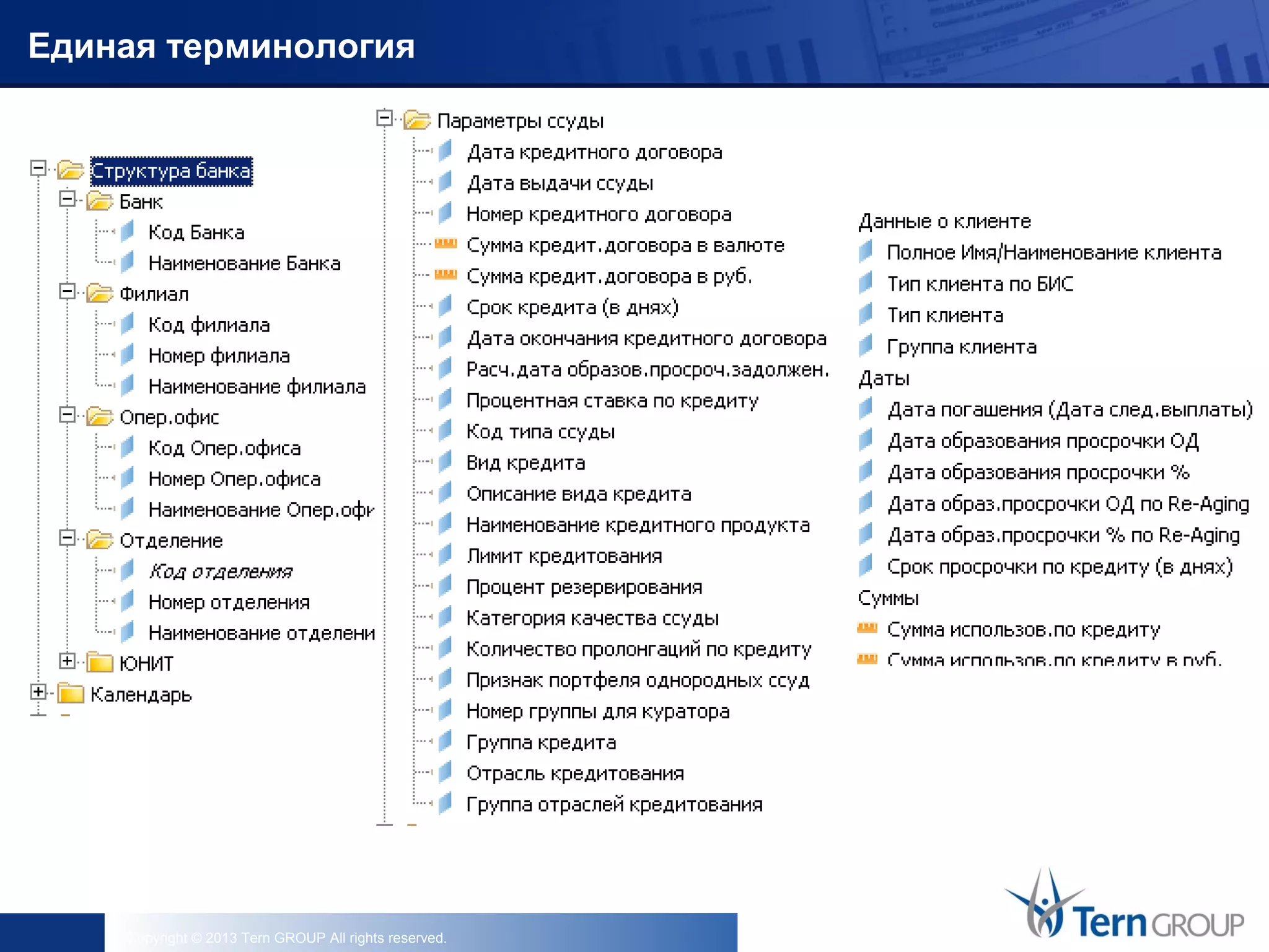 Copyright © 2013 Tern GROUP All rights reserved.
Единая терминология
 