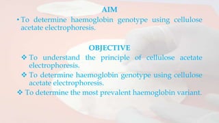 AIM
• To determine haemoglobin genotype using cellulose
acetate electrophoresis.
OBJECTIVE
 To understand the principle of cellulose acetate
electrophoresis.
 To determine haemoglobin genotype using cellulose
acetate electrophoresis.
 To determine the most prevalent haemoglobin variant.
 