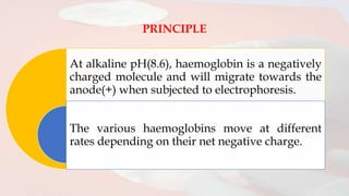 PRINCIPLE
At alkaline pH(8.6), haemoglobin is a negatively
charged molecule and will migrate towards the
anode(+) when subjected to electrophoresis.
The various haemoglobins move at different
rates depending on their net negative charge.
 