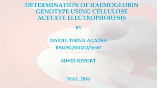 DETERMINATION OF HAEMOGLOBIN
GENOTYPE USING CELLULOSE
ACETATE ELECTROPHORESIS
BY
DAVID, TERNA AGATSA
BSU/SC/BIO/12/16667
SIWES REPORT
MAY, 2016
 
