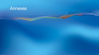 Annexes
17
 