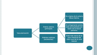 Vascularización
Arteria uterina
(principal)
Se origina de la arteria
iliaca interna.
En el ligamento ancho
está acompañada por
tejido de la fascia
pelviana.
Está más cerca de la
cara intestinal del
útero que de la cara
vesical.
Arterias ováricas
(accesorias)
 