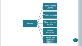 Venas
Plexo venoso
uterino
Venas uterinas
Plexo venoso
vaginal
Venas
ovaricas
Venas del
ligamento
redondo.
 