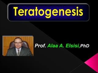 Prof. Alaa A. Elsisi,PhD
 