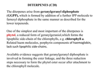 DITERPENES (C20)
The diterpenes arise from geranylgeranyl diphosphate
(GGPP), which is formed by addition of a further IPP molecule to
farnesyl diphosphate in the same manner as described for the
lower terpenoids.
One of the simplest and most important of the diterpenes is
phytol, a reduced form of geranylgeraniol,which forms the
lipophilic side-chain of the chlorophylls, e.g. chlorophyll a.
Related haem molecules, porphyrin components of haemoglobin,
lack such lipophilic side-chains.
Available evidence suggests that geranylgeranyl diphosphate is
involved in forming the ester linkage, and the three reduction
steps necessary to form the phytol ester occur after attachment to
the chlorophyll molecule.
 