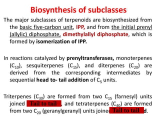 Tail to tail
Tail to tail
 