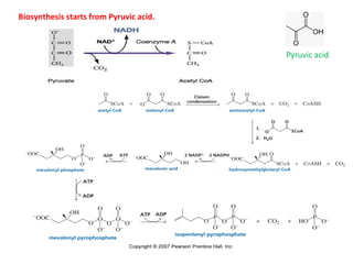 Biosynthesis starts from Pyruvic acid.
Pyruvic acid
 