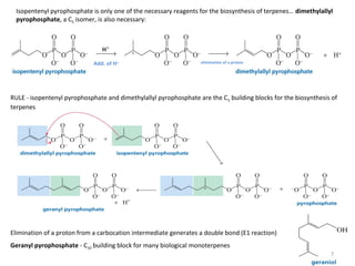 RULE - isopentenyl pyrophosphate and dimethylallyl pyrophosphate are the C5 building blocks for the biosynthesis of
terpenes
Elimination of a proton from a carbocation intermediate generates a double bond (E1 reaction)
Geranyl pyrophosphate - C10 building block for many biological monoterpenes
Isopentenyl pyrophosphate is only one of the necessary reagents for the biosynthesis of terpenes… dimethylallyl
pyrophosphate, a C5 isomer, is also necessary:
Add. of H+ elimination of a proton
7
 