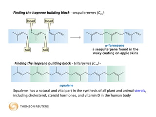 Finding the isoprene building block - sesquiterpenes (C15)
Finding the isoprene building block - triterpenes (C30) -
Squalene has a natural and vital part in the synthesis of all plant and animal sterols,
including cholesterol, steroid hormones, and vitamin D in the human body
 