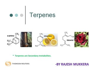 * Terpenes are Secondary metabolites.
 