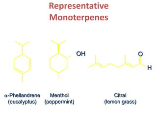 Representative
Monoterpenes
a-Phellandrene
(eucalyptus)
Menthol
(peppermint)
Citral
(lemon grass)
O
H
OH
 