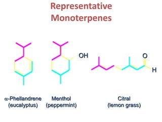 Representative
Monoterpenes
a-Phellandrene
(eucalyptus)
Menthol
(peppermint)
Citral
(lemon grass)
O
H
OH
 