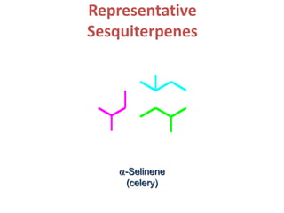 Representative
Sesquiterpenes
a-Selinene
(celery)
 