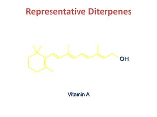Representative Diterpenes
Vitamin A
OH
 