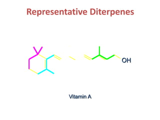 Representative Diterpenes
Vitamin A
OH
 