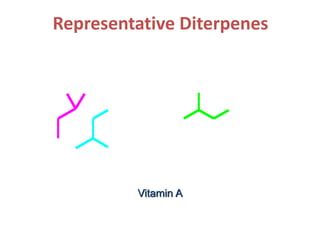 Representative Diterpenes
Vitamin A
 