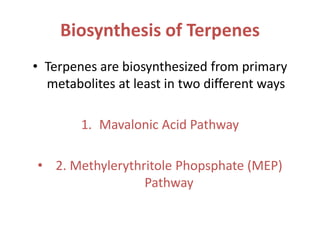 Biosynthesis of Terpenes
• Terpenes are biosynthesized from primary
metabolites at least in two different ways
1. Mavalonic Acid Pathway
• 2. Methylerythritole Phopsphate (MEP)
Pathway
 