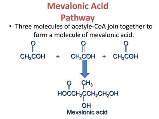 Mevalonic Acid
Pathway
• Three molecules of acetyle-CoA join together to
form a molecule of mevalonic acid.
CH3COH
O
CH3COH
O
CH3COH
O
+ +
HOCCH2CCH2CH2OH
CH3
OH
O
Mevalonic acid
 