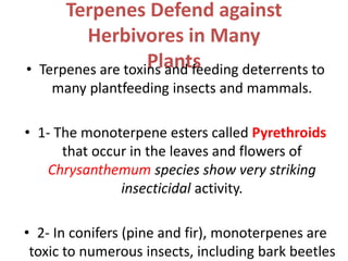 Terpenes Defend against
Herbivores in Many
Plants• Terpenes are toxins and feeding deterrents to
many plantfeeding insects and mammals.
• 1- The monoterpene esters called Pyrethroids
that occur in the leaves and flowers of
Chrysanthemum species show very striking
insecticidal activity.
• 2- In conifers (pine and fir), monoterpenes are
toxic to numerous insects, including bark beetles
 