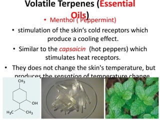 Volatile Terpenes (Essential
Oils)• Menthol ( Peppermint)
• stimulation of the skin‘s cold receptors which
produce a cooling effect.
• Similar to the capsaicin (hot peppers) which
stimulates heat receptors.
• They does not change the skin's temperature, but
produces the sensation of temperature change.
 