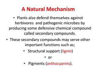 A Natural Mechanism
• Plants also defend themselves against
herbivores and pathogenic microbes by
producing some defensive chemical compound
called secondary compounds.
• These secondary compounds may serve other
important functions such as;
• Structural support (lignin)
• or
• Pigments (anthocyanins).
 