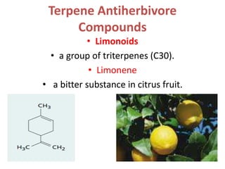Terpene Antiherbivore
Compounds
• Limonoids
• a group of triterpenes (C30).
• Limonene
• a bitter substance in citrus fruit.
 