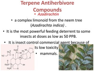 Terpene Antiherbivore
Compounds
• Azadirachtin
• a complex limonoid from the neem tree
(Azadirachta indica) .
• It is the most powerful feeding deterrent to some
insects at doses as low as 50 PPB.
• It is insect control commercial agent because of
its low toxicity to
• mammals.
 