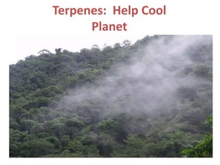 Terpenes: Help Cool
Planet
 