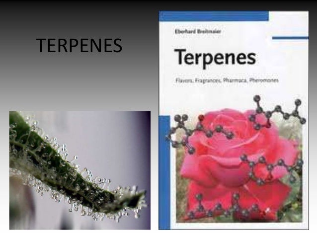 TERPENES
 