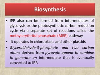 Biosynthesis
• IPP also can be formed from intermediates of
glycolysis or the photosynthetic carbon reduction
cycle via a separate set of reactions called the
methylerythritol phosphate (MEP) pathway
• It operates in chloroplasts and other plastids
• Glyceraldehyde-3-phosphate and two carbon
atoms derived from pyruvate appear to combine
to generate an intermediate that is eventually
converted to IPP.
 