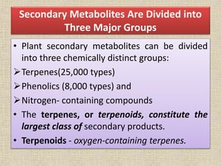 Secondary Metabolites Are Divided into
Three Major Groups
• Plant secondary metabolites can be divided
into three chemically distinct groups:
Terpenes(25,000 types)
Phenolics (8,000 types) and
Nitrogen- containing compounds
• The terpenes, or terpenoids, constitute the
largest class of secondary products.
• Terpenoids - oxygen-containing terpenes.
 