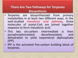 There Are Two Pathways for Terpenes
Biosynthesis
• Terpenes are biosynthesized from primary
metabolites in at least two different ways. In the
well-studied mevalonic acid pathway, three
molecules of acetyl-CoA are joined together
stepwise to form mevalonic acid.
• This key six-carbon intermediate is then
pyrophosphorylated, decarboxylated, and
dehydrated to yield isopentenyl diphosphate
(IPP).
• IPP is the activated five-carbon building block of
terpenes.
 