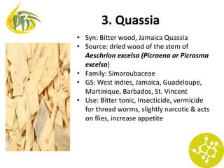 3. Quassia
• Syn: Bitter wood, Jamaica Quassia
• Source: dried wood of the stem of
Aeschrion excelsa (Picroena or Picrasma
excelsa)
• Family: Simaroubaceae
• GS: West indies, Jamaica, Guadeloupe,
Martinique, Barbados, St. Vincent
• Use: Bitter tonic, Insecticide, vermicide
for thread worms, slightly narcotic & acts
on flies, increase appetite
 