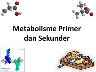Metabolisme Primer
dan Sekunder
SREBP-DNA
complex
PDB 1AM9
 