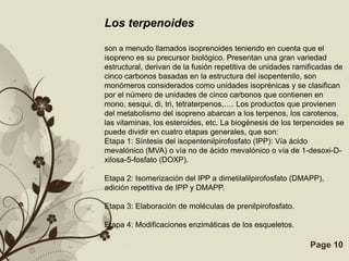 Los terpenoidesson a menudo llamados isoprenoides teniendo en cuenta que el isopreno es su precursor biológico. Presentan una gran variedad estructural, derivan de la fusión repetitiva de unidades ramificadas de cinco carbonos basadas en la estructura del isopentenilo, son monómeros considerados como unidades isoprénicas y se clasifican por el número de unidades de cinco carbonos que contienen en mono, sesqui, di, tri, tetraterpenos,…. Los productos que provienen del metabolismo del isopreno abarcan a los terpenos, los carotenos, las vitaminas, los esteroides, etc. La biogénesis de los terpenoides se puede dividir en cuatro etapas generales, que son:Etapa 1: Síntesis del isopentenilpirofosfato (IPP): Vía ácido mevalónico (MVA) o vía no de ácido mevalónico o vía de 1-desoxi-D-xilosa-5-fosfato (DOXP).Etapa 2: Isomerización del IPP a dimetilalilpirofosfato (DMAPP), adición repetitiva de IPP y DMAPP.Etapa 3: Elaboración de moléculas de prenilpirofosfato.Etapa 4: Modificaciones enzimáticas de los esqueletos.