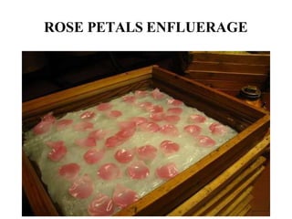 ROSE PETALS ENFLUERAGE
 