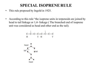 SPECIAL ISOPRENE RULE
• This rule proposed by Ingold in 1925.
• According to this rule “the isoprene units in terpenoids are joined by
head to tail linkage or 1,4- linkage ( The branched end of isoprene
unit was considered as head and other end as the tail).
 