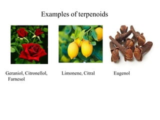 Examples of terpenoids
Geraniol, Citronellol,
Farnesol
Limonene, Citral Eugenol
 