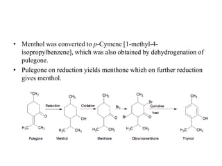 • Menthol was converted to p-Cymene [1-methyl-4-
isopropylbenzene], which was also obtained by dehydrogenation of
pulegone.
• Pulegone on reduction yields menthone which on further reduction
gives menthol.
 