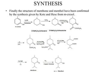 SYNTHESIS
• Finally the structure of menthone and menthol have been confirmed
by the synthesis given by Kotz and Hese from m-cresol.
 